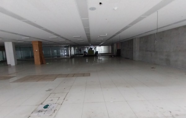 대전광역시 유성구 죽동