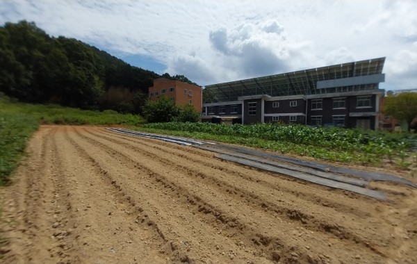 충청남도 논산시 벌곡면 대덕리