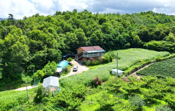 충북 옥천군 청산면