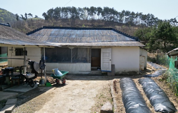 음성군 금왕읍 금석리