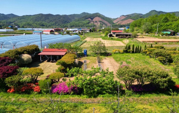 충북 영동군 심천면